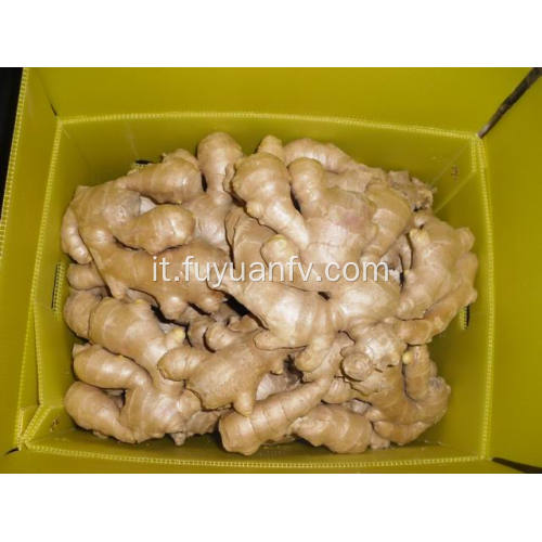 Ginger essiccato all&#39;aria 200 g